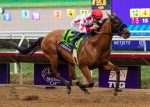 Todd Pletcher é o novo treinador do invicto Corniche