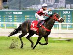In Essence reaparece no GP Hipódromo da Gávea (G3)
