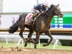 148th Kentucky Derby: Balizamento e Morning Line