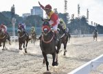 Albinoni vai ao GP Delegações Turfísticas (G3)