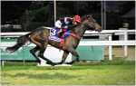 Pedigrees da semana: Preparatórias