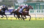 GP Francisco Villela de P. Machado – Stud H&R (G2): Little Beauty, líder e imbatível