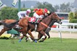 GP Roberto e Nelson Seabra – Haras Anderson: Atropelada irresistível de Primeta