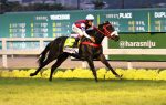 Em seu bi no GP Major Suckow – Haras Nijú (G1), In Essence, confirma ser a melhor velocista do Brasil