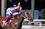 Knight Winner e  Lord Gold dominam as versões A & B da P.E. Mensageiro Alado
