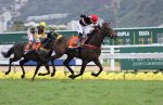 Impressionante e invicto, London Moon conquista o GP Jockey Club Brasileiro – Haras Santa Rita da Serra (G1)