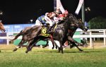 Equilíbrio é a tônica do GP Roberto e Nelson Seabra – Haras Anderson (G1)