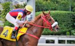 Galeria de Fotos – Confira os vencedores deste DOMINGO (12) no JCB