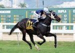 Brasileira Macadamia estreia sexta-feira (17) em Santa Anita
