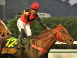 Breeders’ Cup, o próximo desafio de Nautilus?