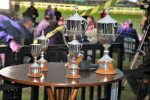 ADDED: GP Roberto e Nelson Seabra – Haras Anderson (G1)