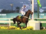 Ganhadores das Estatísticas da Temporada 2021/2022 no Hipódromo da Gávea