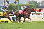 Galeria de Fotos – Confira os vencedores deste SÁBADO (25/06) no JCB