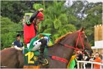 Pedigrees da semana: Meeting do GP Brasil – parte I