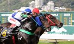 Galeria de Fotos – Confira os vencedores deste DOMINGO (31/07) no JCB