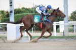 Invicta na areia, Jullipe domina a P.E. Garbosa Bruleur