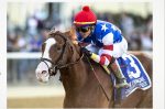 O invicto Jack Christopher corre o Haskell (G1), sábado (23) em Monmouth Park, com transmissão da Tv Turfe