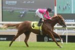 No sábado (23), Filo di Arianna corre G2 em Woodbine