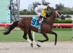 De volta a Gulfstream Park, Novo Sol vence handicap