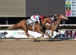 Em recorde, Cyberknife levanta o Haskell Stakes (G1) e Jack Christopher finaliza em terceiro