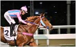 Pedigrees da semana: Justice Girl e Cromwell