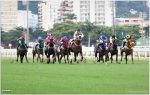 Fêmeas em ação na melhor carreira da Gávea