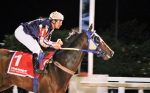 Kopenhagen, o brilhante bicampeão do GP Professor Nova Monteiro (G3)