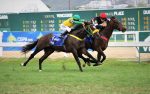 Vitória de Ladário, após desclassificação de London Moon, no GP J. Adhemar de Almeida Prado (G1)