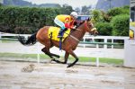 Galeria de Fotos – Confira os vencedores deste DOMINGO (04/09) no JCB