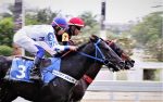 Galeria de Fotos – Confira os vencedores deste DOMINGO (11/09) no JCB