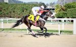 John Bull comanda dobrada do Haras Sweet Carol no Clássico Eurico Solanés (L.)