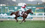 Perfeito trabalho de equipe para a conquista de Don Cambay no GP João Borges Filho (G2)
