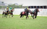 Arenáticos em ação na melhor carreira da semana na Gávea