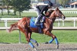 Sábado (24) com Pennsylvania Derby (G1) na tela da Tv Turfe