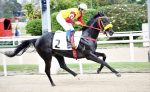 Galeria de Fotos – Confira os vencedores deste DOMINGO (02/10) no JCB