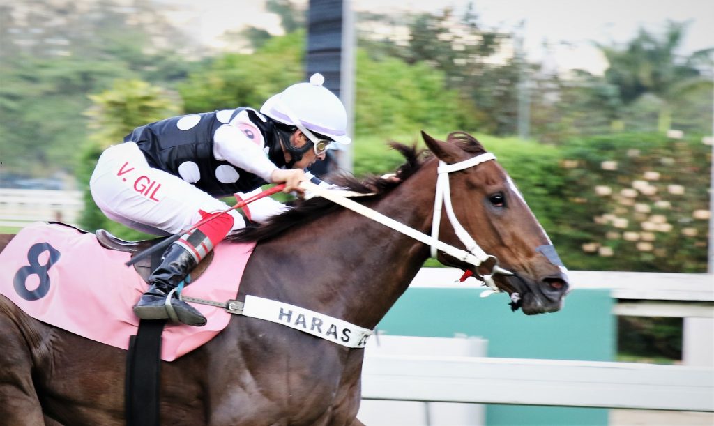 Aconteceu – GP Armando Carneiro (G3)