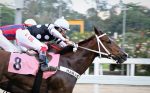 Em atropelada espetacular, vitória de Jeito Seu no GP Armando Rodrigues Carneiro (G3)