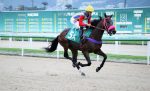 EPT realiza com sucesso mais um Páreo-Teste na Gávea