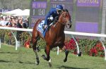 Golden Pal busca o bicampeonato da BC Turf Sprint (G1)