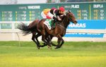 GP Linneo de Paula Machado – Haras Figueira do Lago (G1): a vitória de um craque chamado London Moon