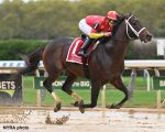 No Woodward Stakes (G1), vitória firme de Life Is Good rumo a Breeders’ Cup Classic