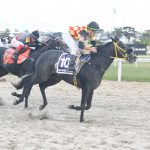 Tarumã: Mamba Mentality vence a V Pegasus Brasil