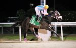John Bull e Jeromel, ponta e dupla do Haras Sweet Carol no GP Salgado Filho (G3)