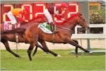 Pedigrees da semana: London Moon, Limited Edition, Jet Class e Jasmine