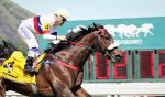 To Sir With Love impõe sua maior categoria no GP Sandpit (G3)