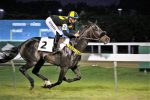 Galeria de Fotos – Confira os vencedores desta TERÇA (22/11) no JCB