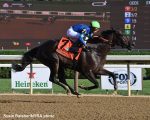 Goodnight Olive, Ce Ce e Echo Zulu devem decidir a BC Filly & Mare Sprint (G1)
