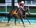 BC Dirt Mile (G1) promete desfecho emocionante