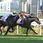 Limited Edition, do Stud Rio Dois Irmãos, vence o GP Diana (G1) em Cidade Jardim