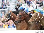 Em final eletrizante, melhor para Malathaat na BC Distaff (G1)